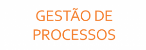 Gestão de Processos